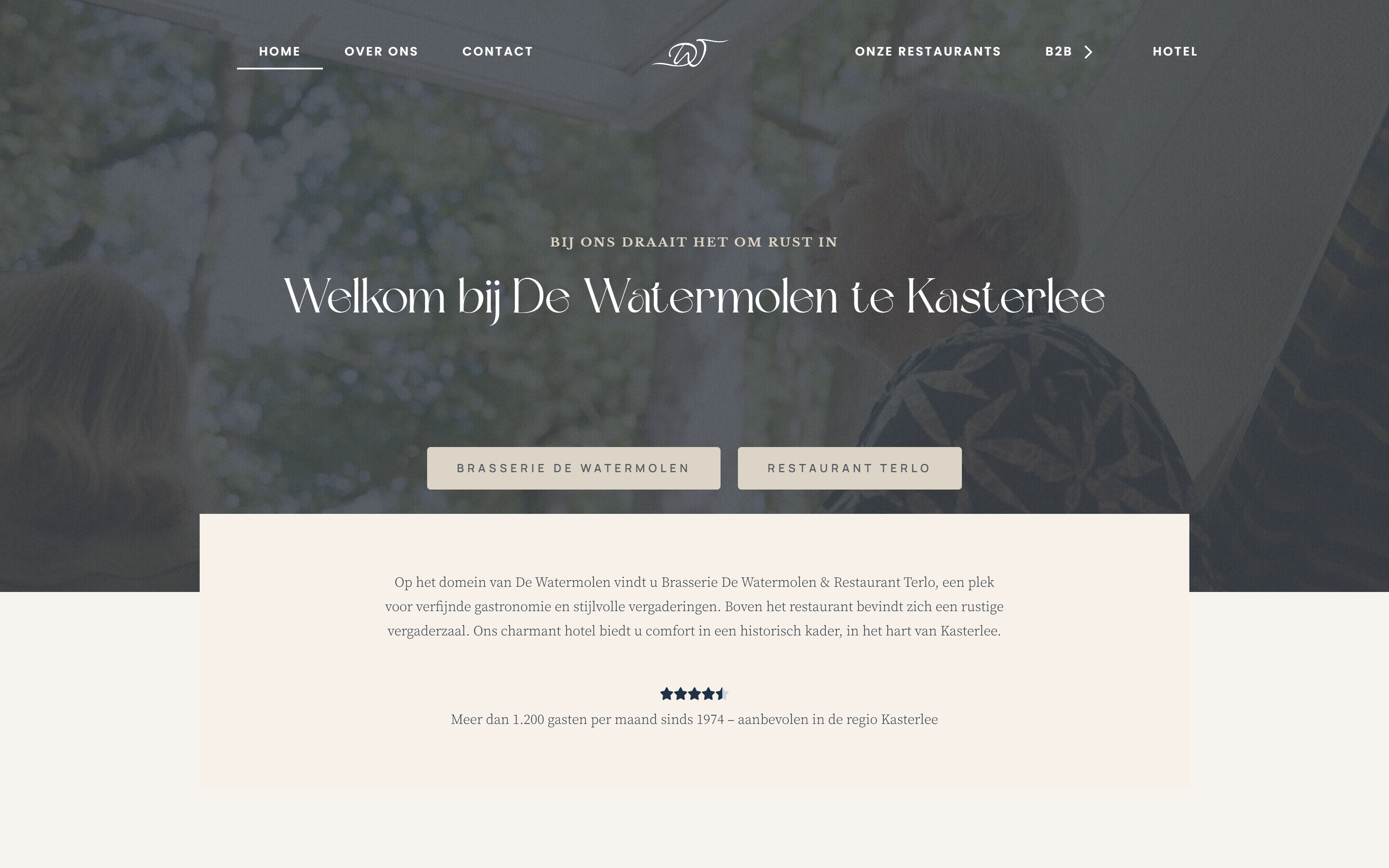 Watermolen website door neptox, desktop